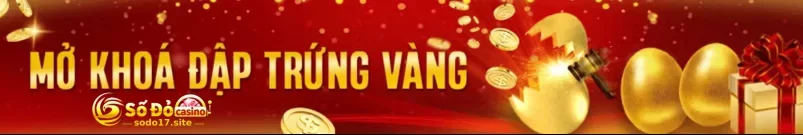 KHUYẾN MÃI SODO17 – Giới Thiệu Chung