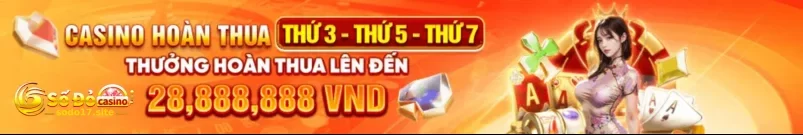 KHUYẾN MÃI SODO17 – Giới Thiệu Chung